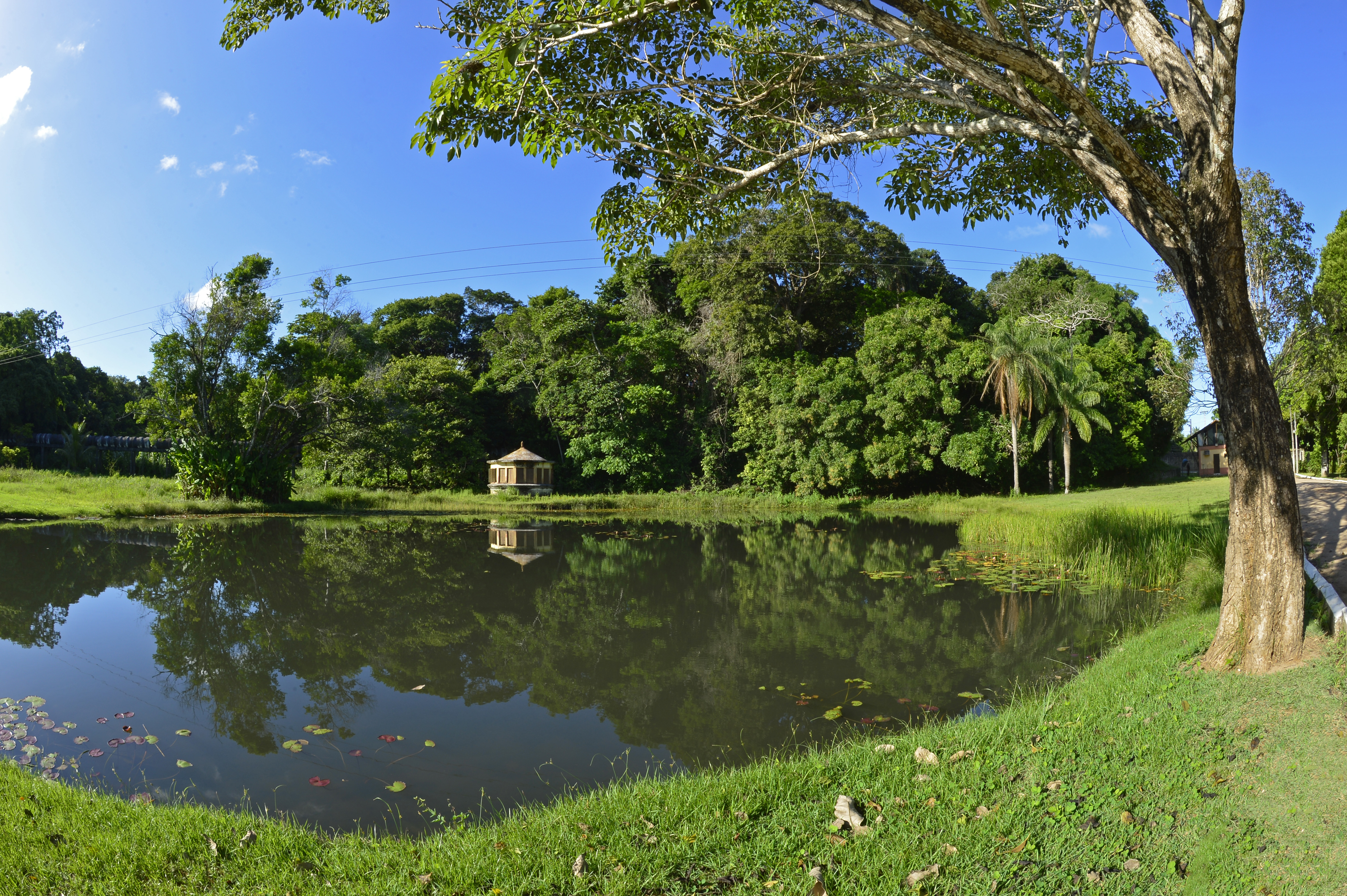Benjamim Maranhão Botanical Garden (Mata do Buraquinho), João Pessoa